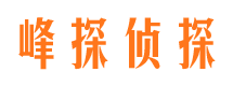 宜川市调查公司